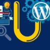Website Developer & Consultant